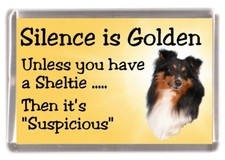 Shetland Sheepdog/Sheltie Dog
