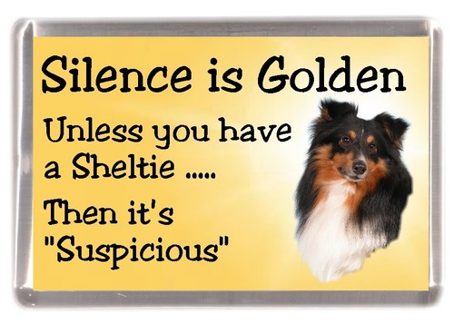 Shetland sheepdog sheltie dog - shetland, sheepdog/sheltie