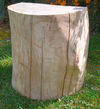 Tree stump seat log table