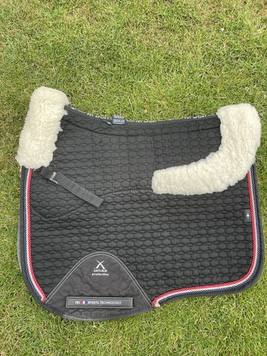 Premier equine merino wool - premier,