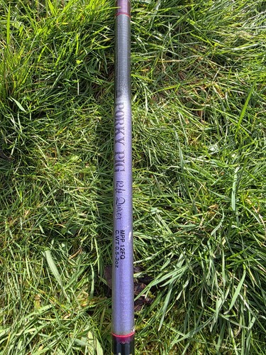 Daiwa porky pig 12ft quiver - daiwa,