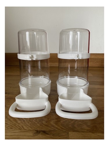 Bird feeder water drinker - bird,