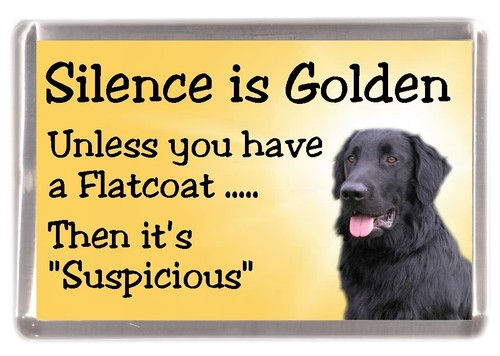 Flatcoated retriever dog - flatcoated,