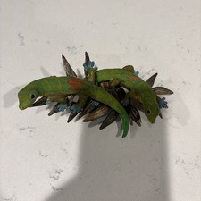 Country Artists Natural World