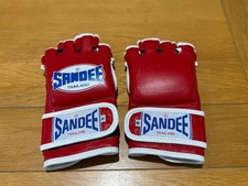 Sandee hybrid boxing - sandee, boxing/