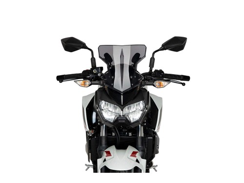 Puig flanker screen windshield - flanker,