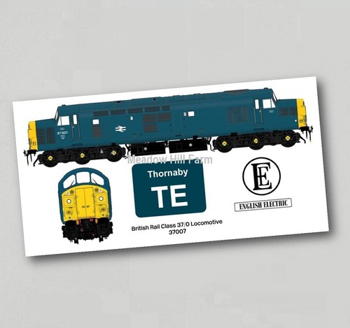 Class fridge magnet - 37,