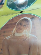 The Sun Page 3 Calendar 1978