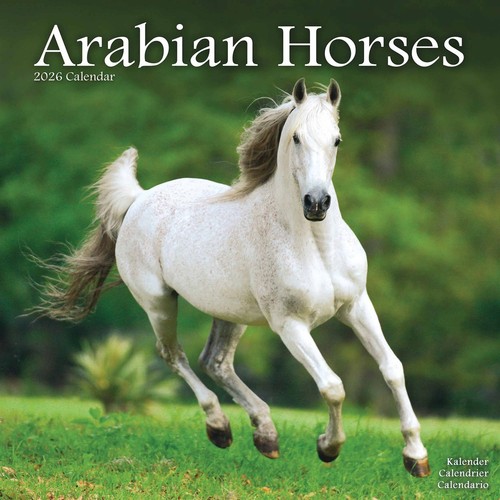Arabian horses calendar 2026 - arabian,