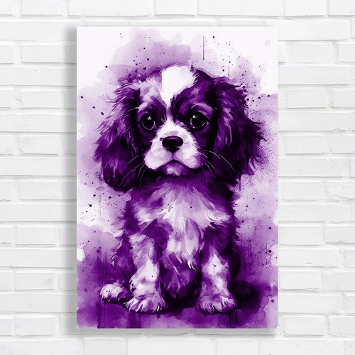 Adorable cavalier king - cavalier,