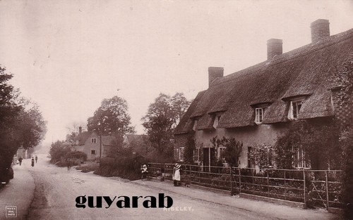 Riseley bedford - rp, nr.