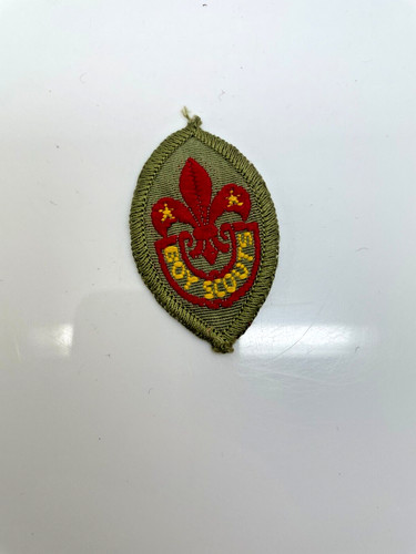 Vintage boy scout - boy, scout's