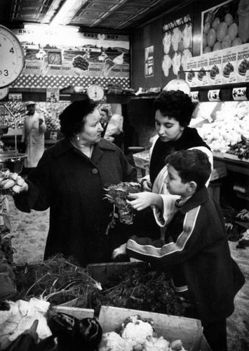 Italian american family - american,