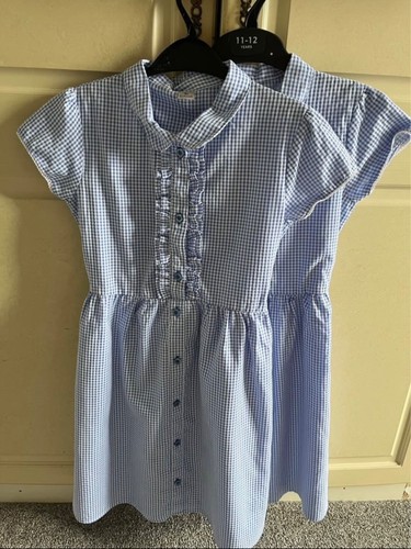 Bnwot tublue gingham - x,
