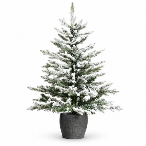 Snowy pine potted - potted, christmas