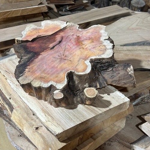 Yew cookie round board table - cookie,