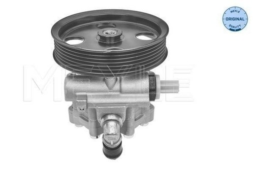 Steering system hydraulic pump - steering,