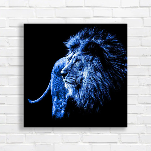 Lion the shadows square - shadows,