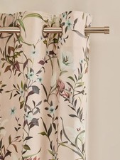 next pink  Lily Floral Eyelet