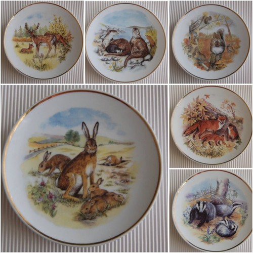 Wild life decorative small - 6,