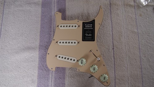 Fender player series loaded - player,