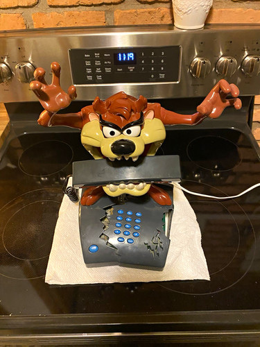 Warner bros looney - tunes, taz