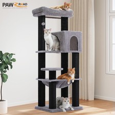 PAWZ Road Cat Tree Climbing