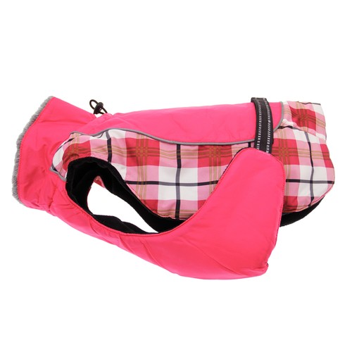 Doggie design alpine dog - design, coat