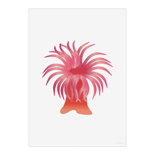 Sea anemone wall - 'sea, anemone'