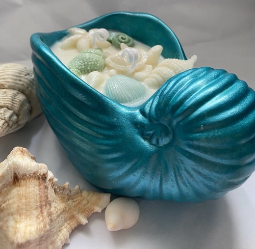 Beautiful seashell soya - beautiful,