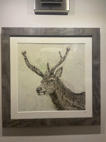 Scottish rona innes framed - -,