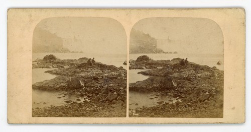 Stereoview stereoscope card - stereoscope,