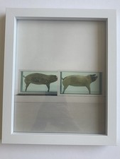 DAMIEN HIRST UNSIGNED PRINT