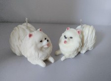 Cute white Pomeranian Spitz