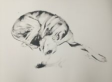 Large Original signed Ink drawing of a Whippet Greyhound Lurcher 