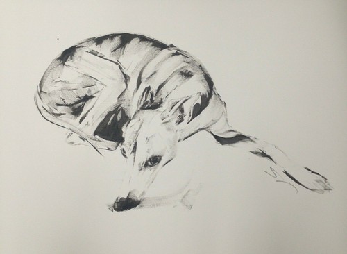 Large original signed ink - original,
