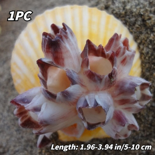 1pc purple sea lotus - purple, conch