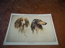 DOGS John Player & Sons 1955 No 12 SALUKIS Arthur Wardle Paintings EXCELLENT