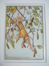 Silver Birch Fairy Vintage Flower Fairies Print & Mount Cicely Barker c1930's