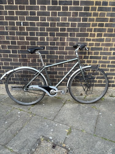Grey ridgeback medium hybrid - ridgeback,