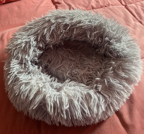 Very soft fluffy grey cat - very,