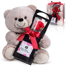 Teddy bear for girlfriend - for,