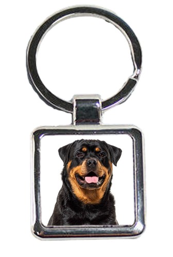 Rottweiler dog pet luxury - rottweiler,