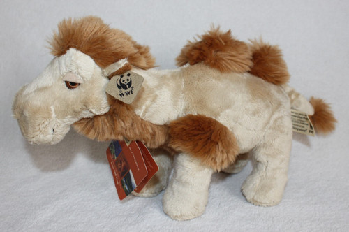 Rare wwf camel anna club - rare,