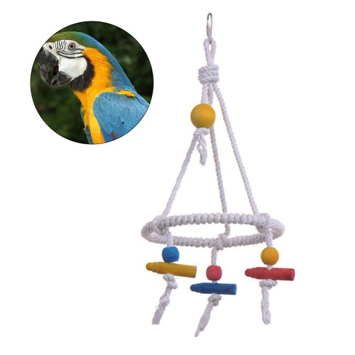 Bird climbing swing - swing, parrot