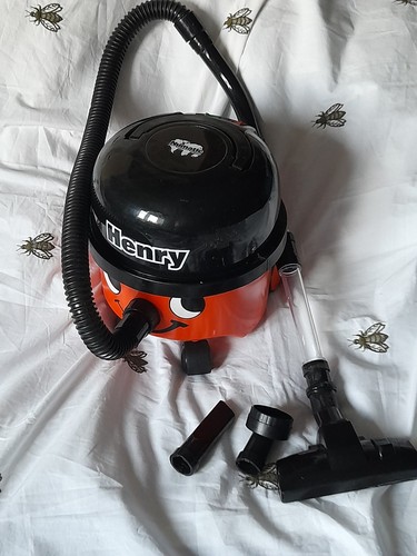 Casdon henry vacuum hoover - casdon,