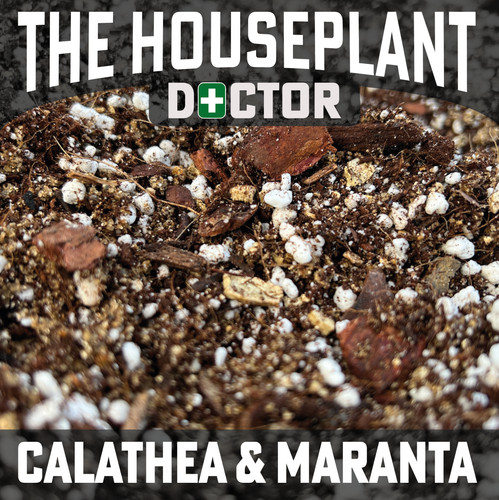 Calathea compost soil - calathea, (prayer