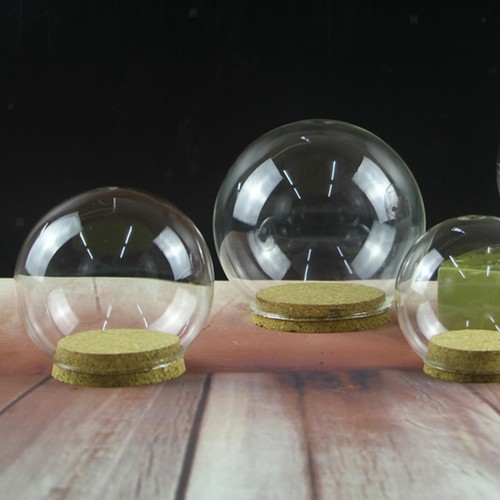 Transparent display dome - transparent, with