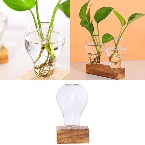 Glass tube vase wooden stand - tube,