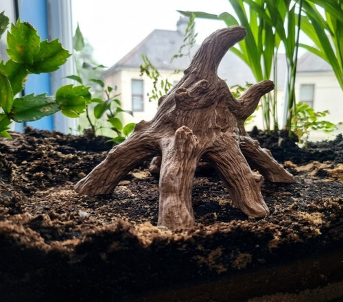 Printed reptile climbing - reptile,